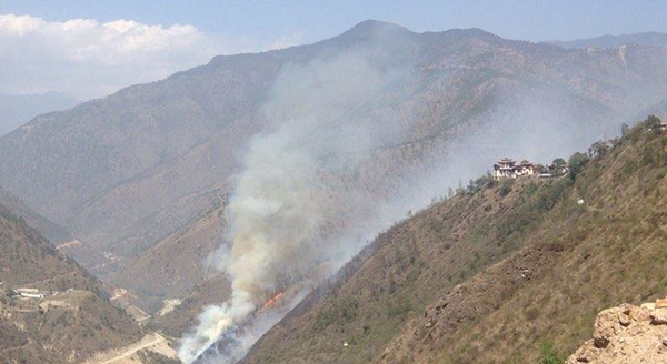 Forest fire in Trashigang rages on - BBS | BBS