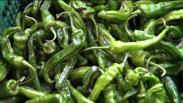 MoAF to regulate the price of local green chillies - BBS | BBS