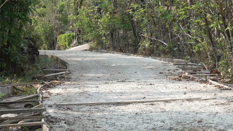 Dawaling_Yangphelthang residents frustrated by delays in farm road ...